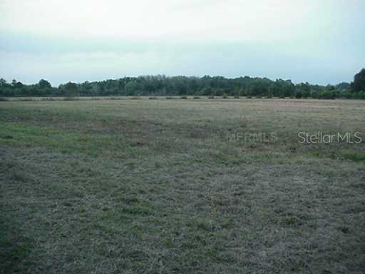 Palm Way, Sanford, FL 32773