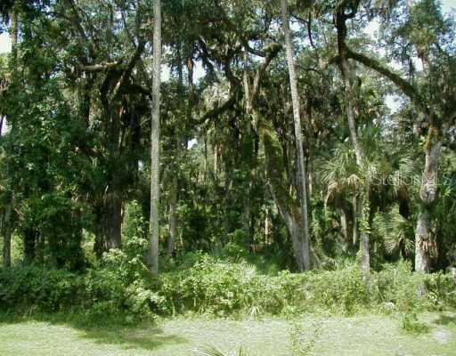 1580 Deerfoot Rd., DeLand, FL 32720