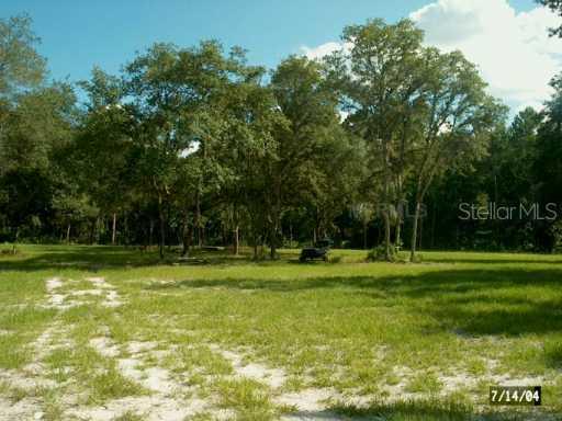 3060 Kingfisher Point, Chuluota, FL 32766