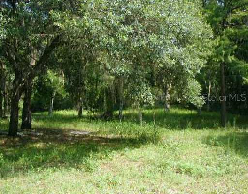 Harvest Lane Ln., Kissimmee, FL 34744