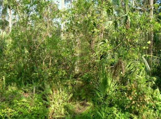 Orange Ave., Oviedo, FL 32765