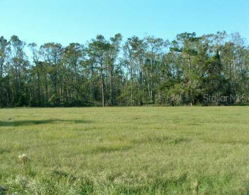 2300 Pine Meadows Pl., Chuluota, FL 32766