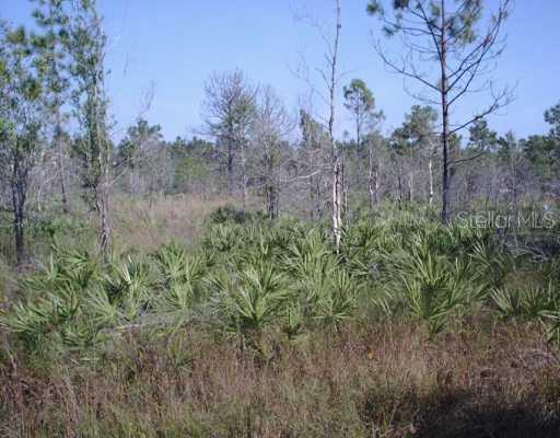 Lot 442 Mckoy Land Subdivision Land, Orlando, FL 32821