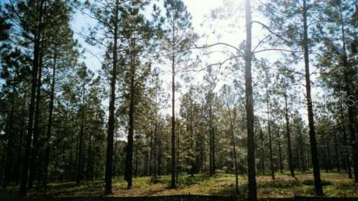 Wagonwheel Ct., Eustis, FL 32736