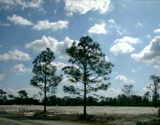 Starry St., Orlando, FL 32833