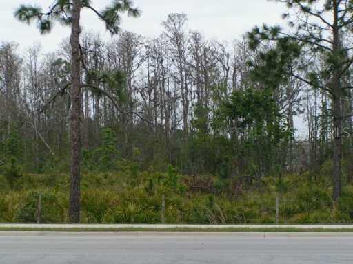 Moss Park Rd., Orlando, FL 32832