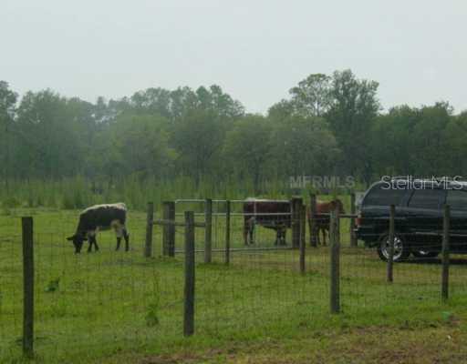 1621 Bay Lake Loop, Groveland, FL 34736