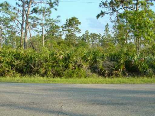 Ortega St., Orlando, FL 32833