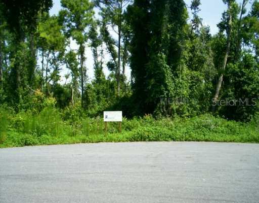 Ciara Ct., Kissimmee, FL 34744