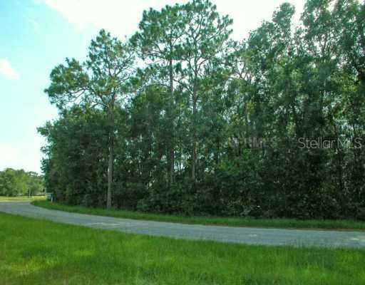 Troon Ave., Sorrento, FL 32776