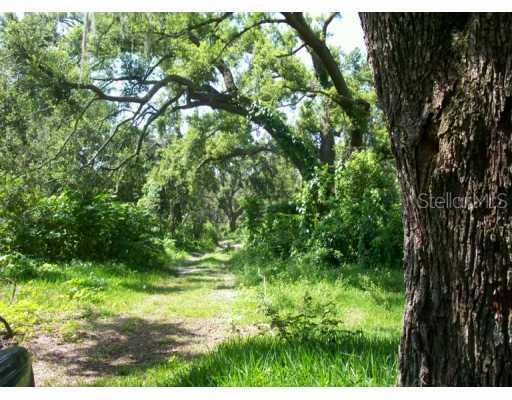 1396 Sawdust Tr., Kissimmee, FL 34744