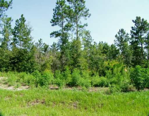 High Pines Dr., Sorrento, FL 32776