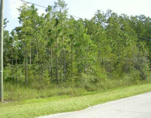 Mardi Gras St. #105, Orlando, FL 32833