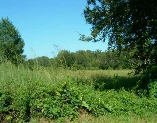 2494 Valerie Ave., Apopka, FL 32712