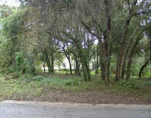 1513 Solway Ct., Apopka, FL 32712