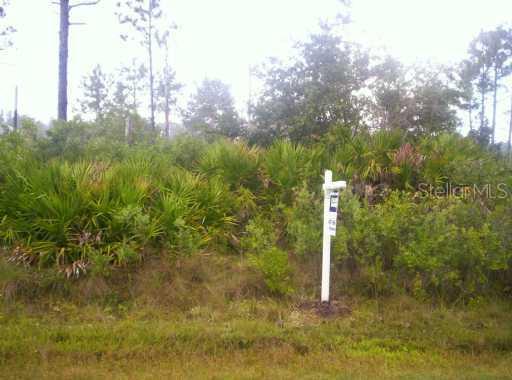 Starry St., Orlando, FL 32833