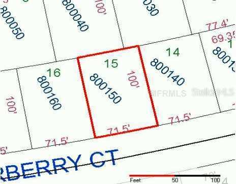 Elderberry Ct., Kissimmee, FL 34759