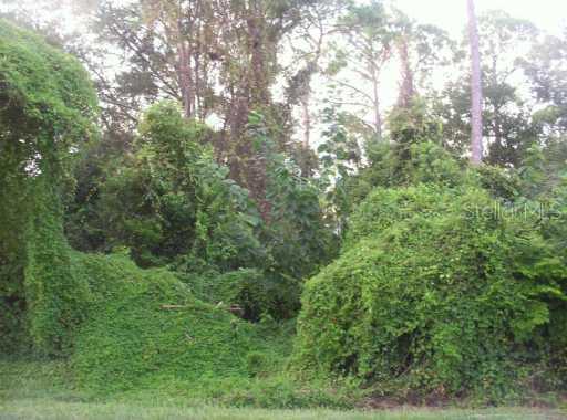 312 Colomba Rd., DeBary, FL 32713