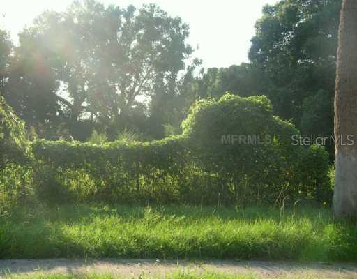 110 N Cumberland Ave., Ocoee, FL 34761