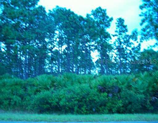 Quinella St., Orlando, FL 32833