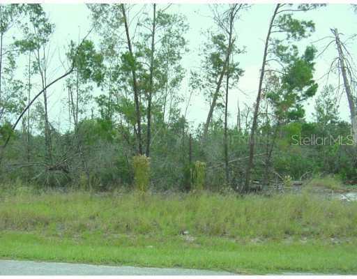 Redwood Ct., Kissimmee, FL 34759