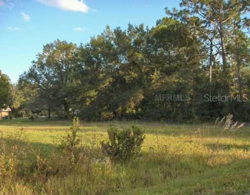 2035 5th Ave., Deland, FL 32724