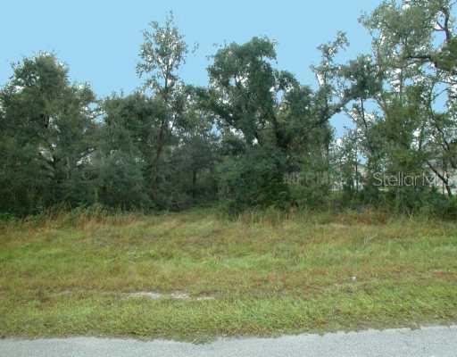 2320 Pine Needle Tr., Kissimmee, FL 34746