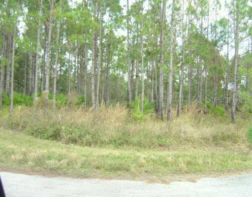 541 Parakeet Ave., Sebring, FL 33872