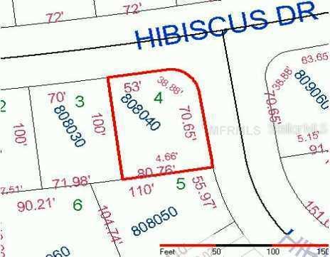 Hibiscus Dr., Poinciana, FL 34759