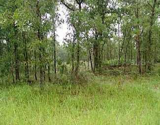 Wildmere Village Cove Lot 15, Longwood, FL 32750