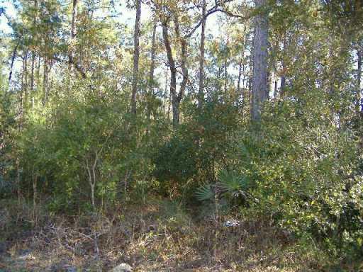 1355 Courtland Blvd., Deltona, FL 32738