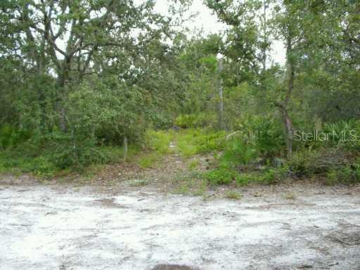 11043 Kijik Tr., Groveland, FL 34736