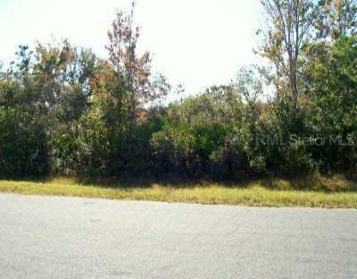 18534 Starry St., Orlando, FL 32833