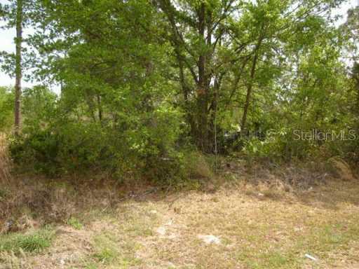 Dee Dee St., Orlando, FL 32807