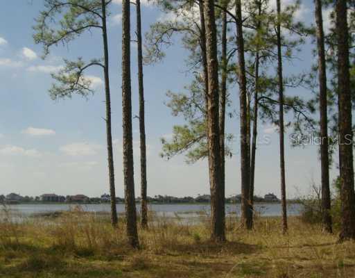 7860 Ficquette Rd., Windermere, FL 34786