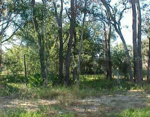 Wildmere Village Cove Lot 11, Longwood, FL 32750