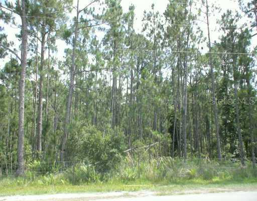 5200 Carson St., St Cloud, FL 34771