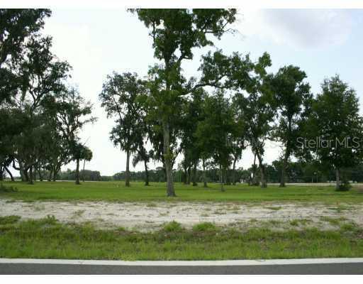 4619 Claire Rose Ct., Mount Dora, FL 32757