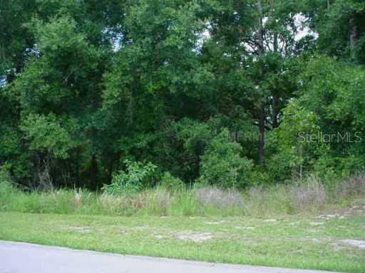 1482 Covered Bridge Dr., Deland, FL 32724