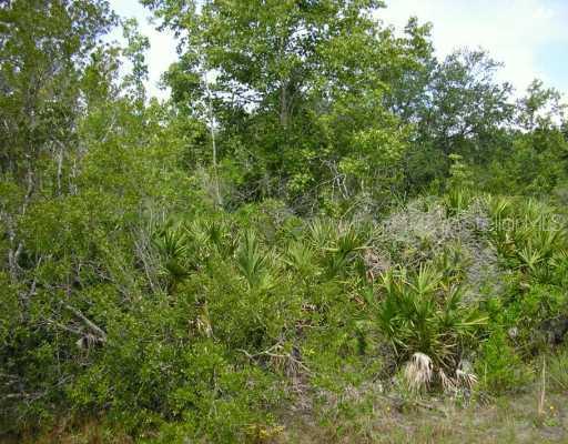 1525 Swamp Ln., Geneva, FL 32732