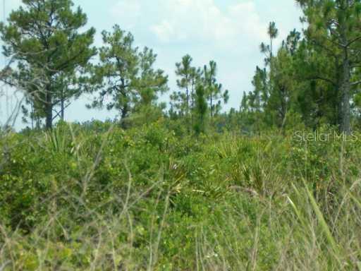 Orange County Acres (sec.24) Tract 4160 Rd., Orlando, FL 32803
