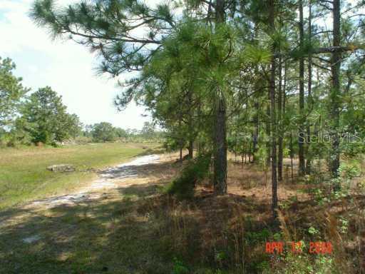 Sheldon St., Orlando, FL 32833