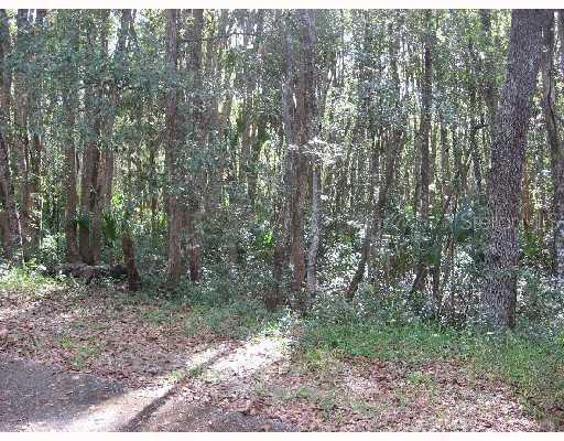 6248 Wadsworth Rd., Mount Dora, FL 32757