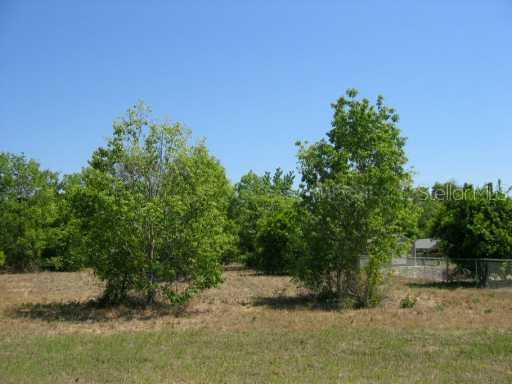 Madison St., Astatula, FL 34705