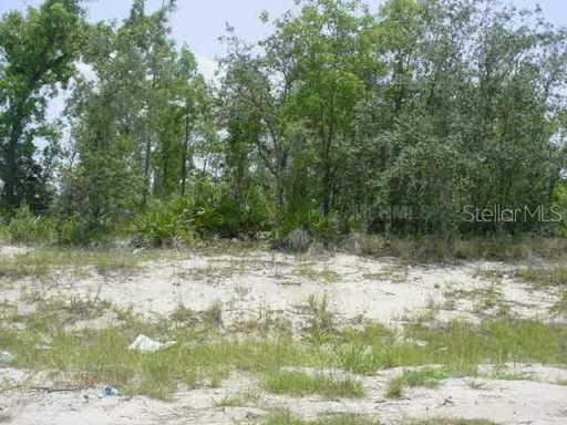 439 Mulberry Ct., Poinciana, FL 34759