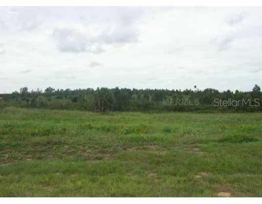Lake Enderly Estates Lot #1 Dr., Bartow, FL 33830
