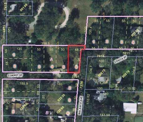 7101 Cornet St., Orlando, FL 32810