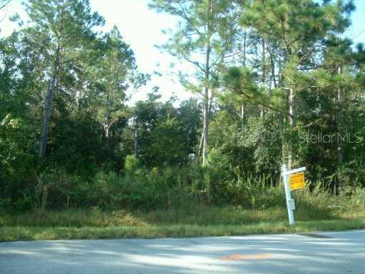 210 Spoonbill Ln., Kissimmee, FL 34759