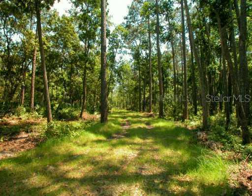 9225 Lake Mabel Dr., Orlando, FL 32836