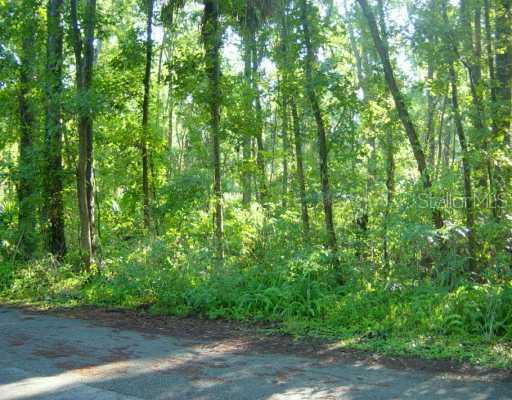 125 Wisteria Dr., Longwood, FL 32779